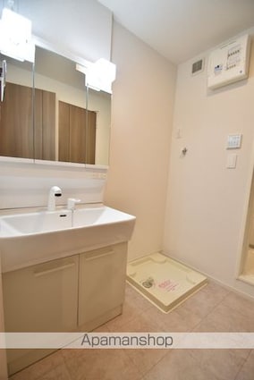 ファイン・ビレッチⅨ[1LDK/50.05m2]の洗面所