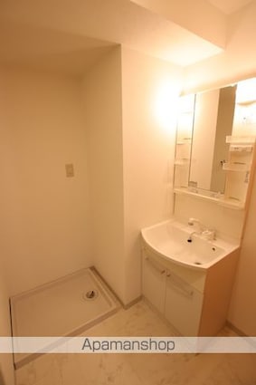 ルミエール（藤原町）[1LDK/43.12m2]の洗面所