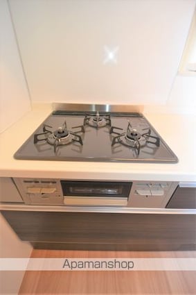 エクスプレス新八代　Ａ棟[1LDK/42.86m2]の内装5