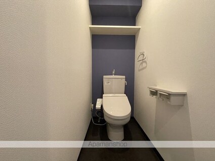 アルテマイスターヴィオラ[1R/34.56m2]のトイレ