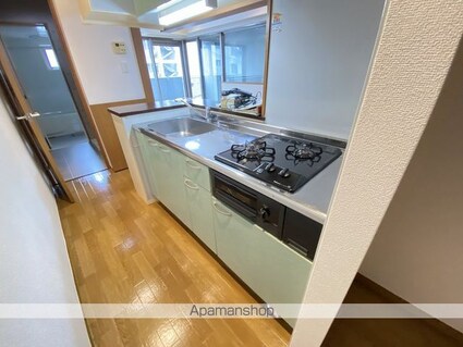 フラッツ・ジャスミン[1LDK/53.88m2]のキッチン