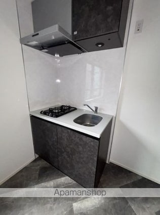 レピュア豊島園レジデンス[1R/21.63m2]のキッチン