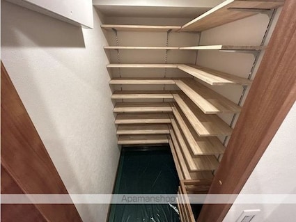 レグノグランデ一番町タワー[2LDK/54.98m2]の収納