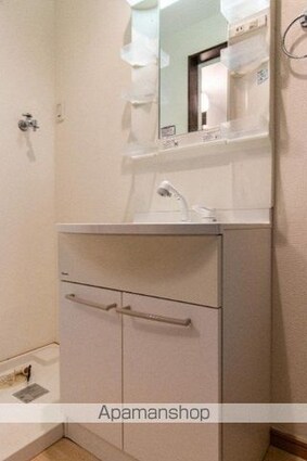 Ｒｉｏ　Ｂｒｉｓａ[1R/29.63m2]の洗面所