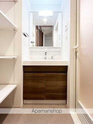 ＳーＲＥＳＩＤＥＮＣＥ浅草ｄｉｖｅｒｓｅ[2LDK/47.03m2]の洗面所