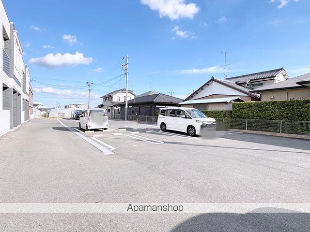 カメリアのその他写真