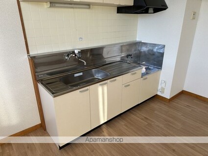 コーポライオン[2LDK/52.99m2]のキッチン