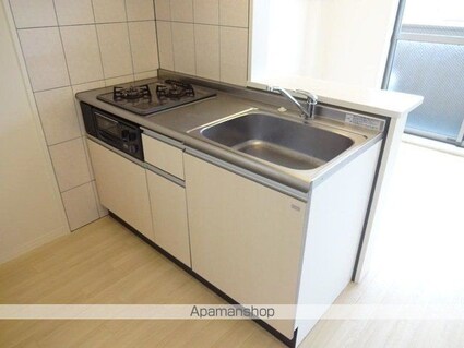 ブリーゼコートＤＳ[1LDK/41.04m2]のキッチン