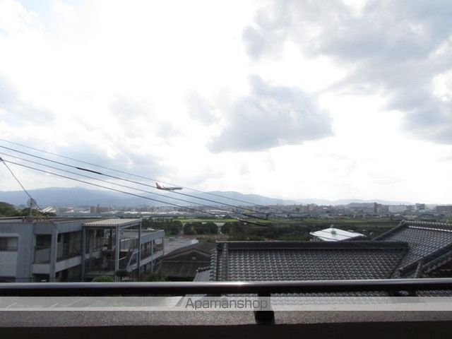 グリーン・フォレストのその他写真