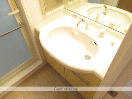 スカイグランデ京成小岩[1LDK/44.28m2]の洗面所