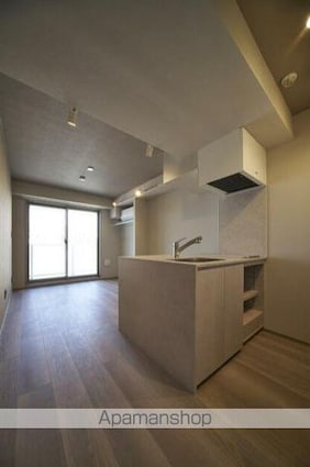 ｔｈｅ　ｔｒｉａｓ　ｋａｓｈｉｗａ[1R/20.5m2]のキッチン