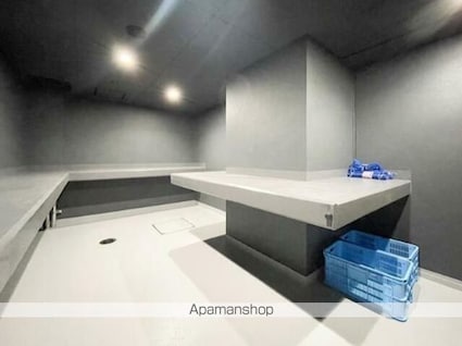 ＺＯＯＭ信濃町[1LDK/34.41m2]の共用部3