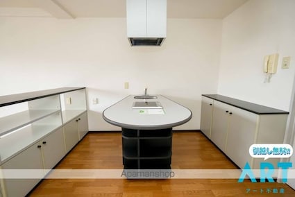 メゾン・ド・アーベリール[1R/30.4m2]の内装5