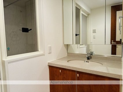 セントラルレジデンス番町シティタワー[1LDK/36.05m2]の洗面所