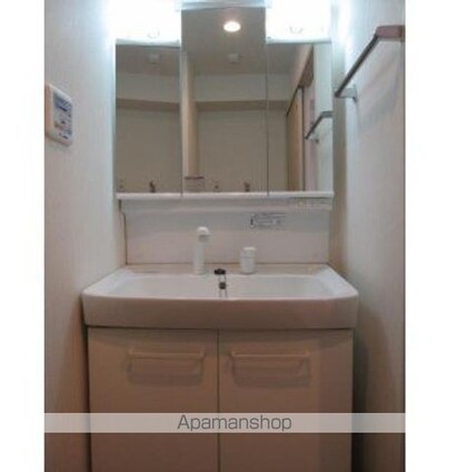 フォーチュンドゥミール[1LDK/39.09m2]の洗面所