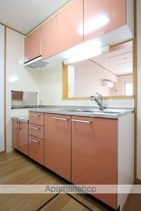 マンダリーナ[1LDK/46.49m2]のキッチン