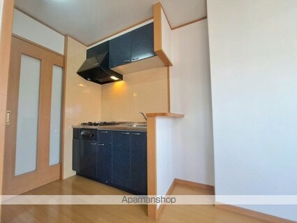 ドルーク三番町[1R/23.9m2]のキッチン