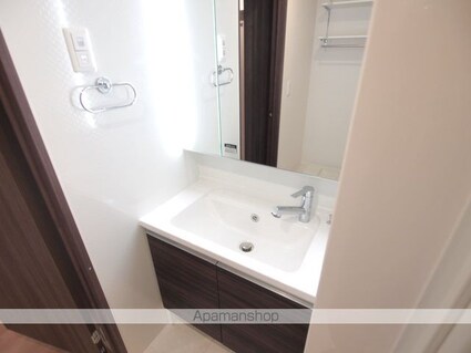 Ｇｒａｃｅ　Ｙａｍａ（グレイス　ヤマ）[1LDK/42.93m2]の洗面所