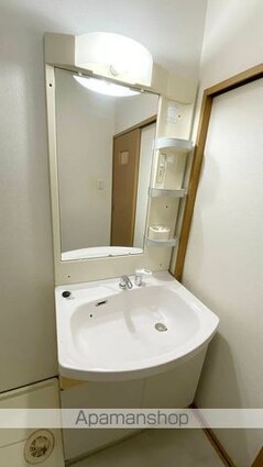 岡山県岡山市北区下中野[2LDK/58.21m2]の洗面所