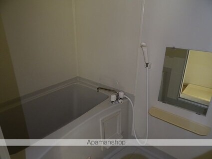 サウスピア南小泉[1K/24.5m2]の内装4