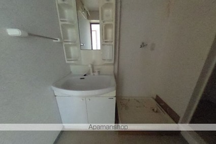 パールリバー[3LDK/68m2]の洗面所