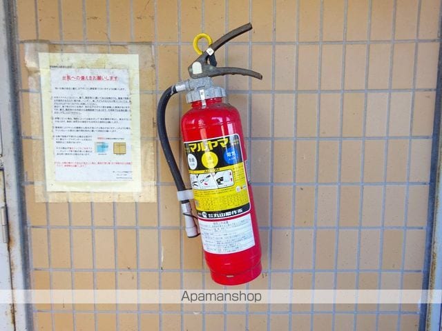 ヴェルデのその他写真