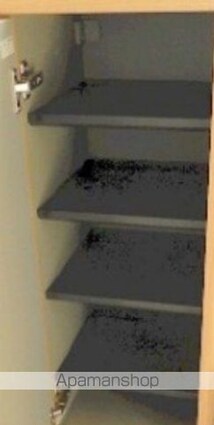 Ｗｉｌｌ[1R/16.52m2]の収納