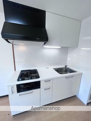 ファミール桃の郷　Ｂ棟[2DK/46.05m2]のキッチン