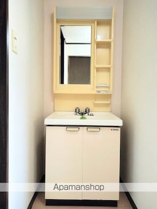 長野県長野市大字稲葉南俣[2DK/43.74m2]の洗面所