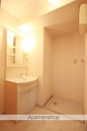 ルミエール（藤原町）[1LDK/43.12m2]の洗面所