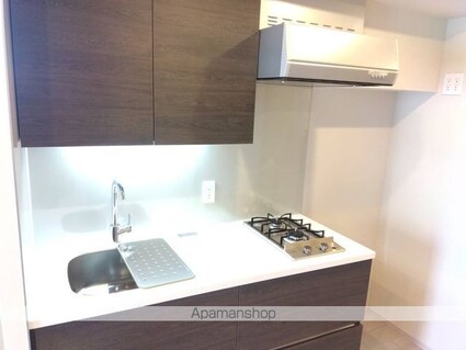 ザ・パークハビオ板橋区役所前[1DK/33.08m2]のキッチン