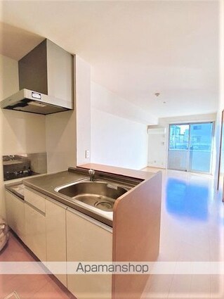 リュイール　Ⅱ[1LDK/50.29m2]のキッチン