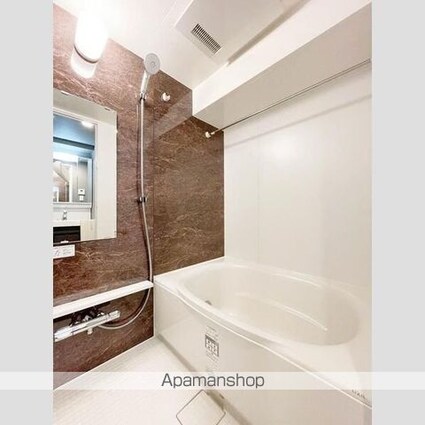 ＳーＲＥＳＩＤＥＮＣＥ板橋大山ｂｒｉｍ[1SLDK/47.5m2]のバス