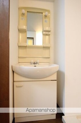 ドミール・マイアミ[1K/31m2]の洗面所