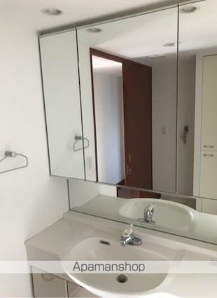 デュオガーデン柏見晴らしの丘[3LDK/80.51m2]の洗面所