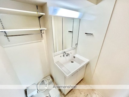 Ｇ　．Ｌ　Ｔａｋａｋａｉｃｈｏｕ（ジーエルプラスタカカイチョウ[2LDK/50.19m2]の洗面所