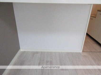 プラザドゥクリムゾン[1R/14m2]のその他部屋・スペース