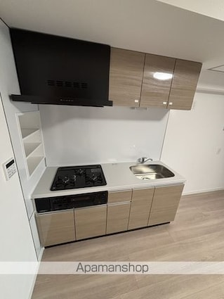 アイルイマージュ押上イースト[1LDK/40.98m2]の内装4