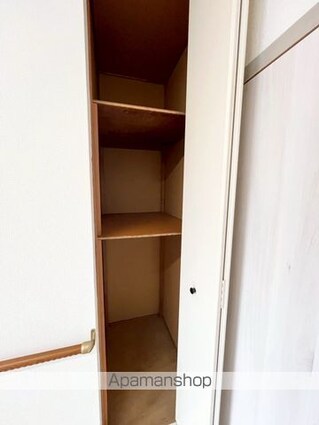グリーンフル六十谷Ⅰ[2DK/40.92m2]の収納
