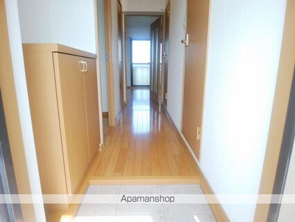 サングリーン藤沢[2DK/50.54m2]の玄関