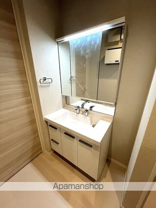 チップ[2LDK/71.51m2]の洗面所