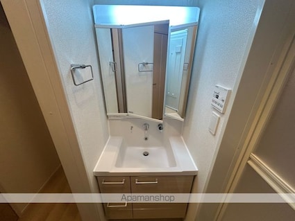 レスパスカルム[1LDK/42.38m2]の洗面所