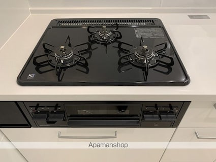 ＥＬＦ妻鳥[1LDK/29.41m2]の内装5