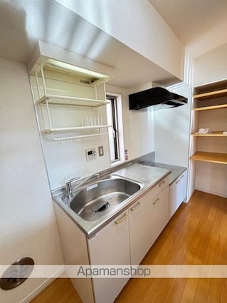 内藤ハウス[1LDK/43.89m2]のキッチン