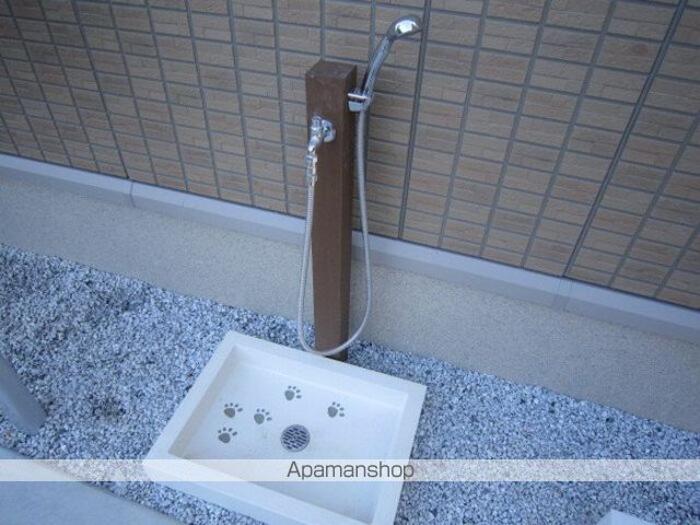 オリザ弥生のその他写真