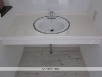 アメニティハイム[1LDK/52.3m2]の洗面所