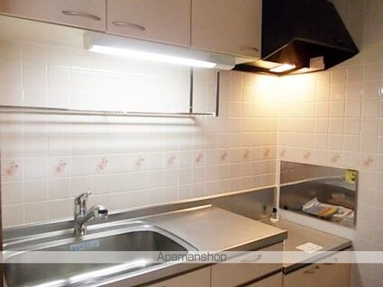 ヴィザージュ[2LDK/55.08m2]のキッチン