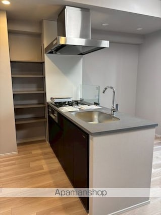 ザ・ライオンズフォーシア文京湯島[2LDK/46.15m2]のキッチン