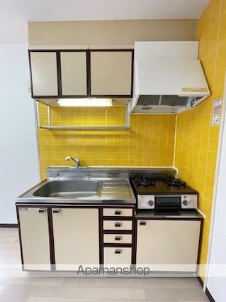 ジュネパレス柏第６９[2DK/48.44m2]のキッチン